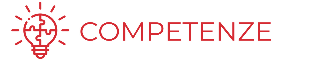 icona Competenze orizzontale